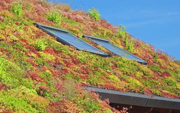 Pulloxhill living roof systems