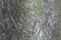 Pulloxhill fibreglass roof work